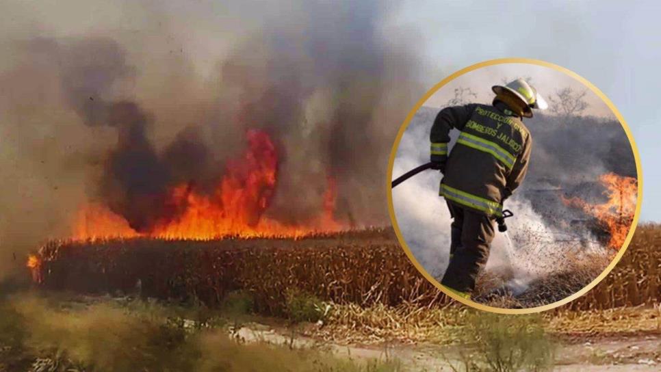 ¿Cuántos litros de agua se necesitan para sofocar una quema de soca? Bomberos pide conciencia en Ahome