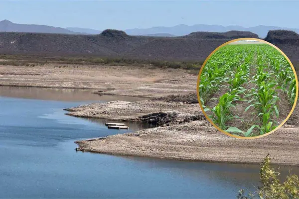 Presas de Sinaloa van a llegar vacías al 30 de junio, advierte SADER Presas de Sinaloa van a llegar vacías al 30 de junio, advierte SADER