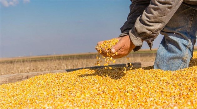 Imagen Placeholder Imagen Placeholder