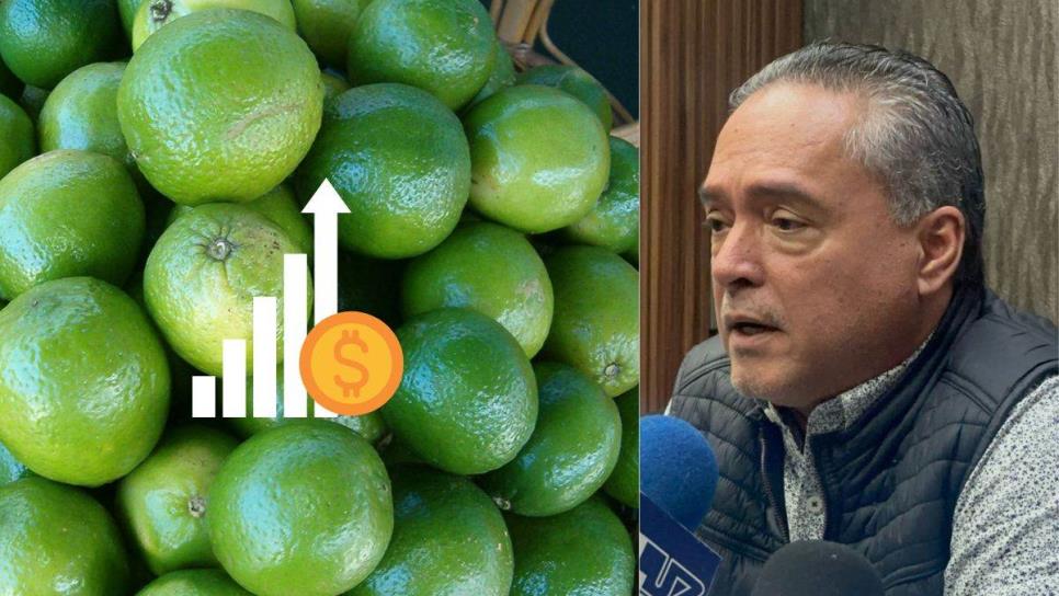 Sube precio del limón: restaurantes se preparan para el impacto