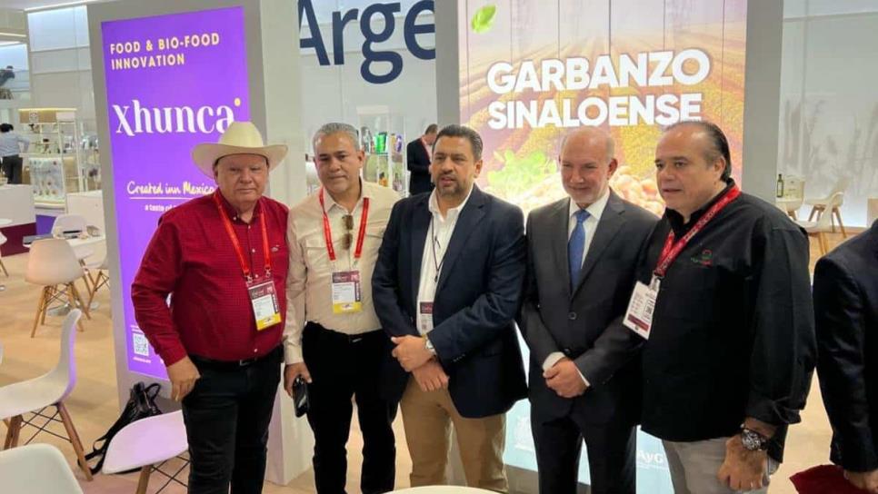 India, Turquía y Emiratos Árabes interesados en garbanzo de Sinaloa 