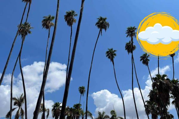 Cielos nubosos y temperaturas de hasta 32°C: así estará el clima en Los Mochis este jueves