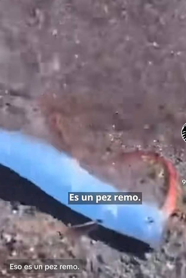 Imagen Placeholder Imagen Placeholder