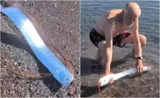 Imagen Placeholder Imagen Placeholder