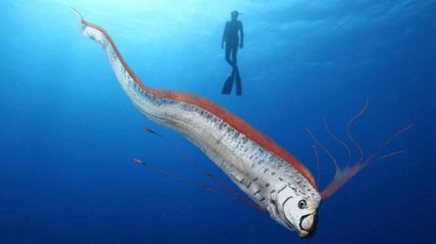 Imagen Placeholder Imagen Placeholder