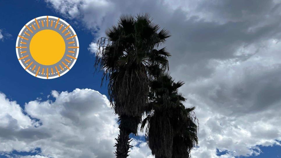 Clima en Los Mochis para este viernes 21 de febrero: temperaturas cálidas y cielos despejados