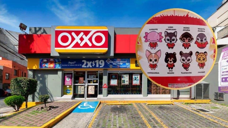 ¿Cuánto cuestan los llaveros del Oxxo coleccionables? Así puedes adquirirlos