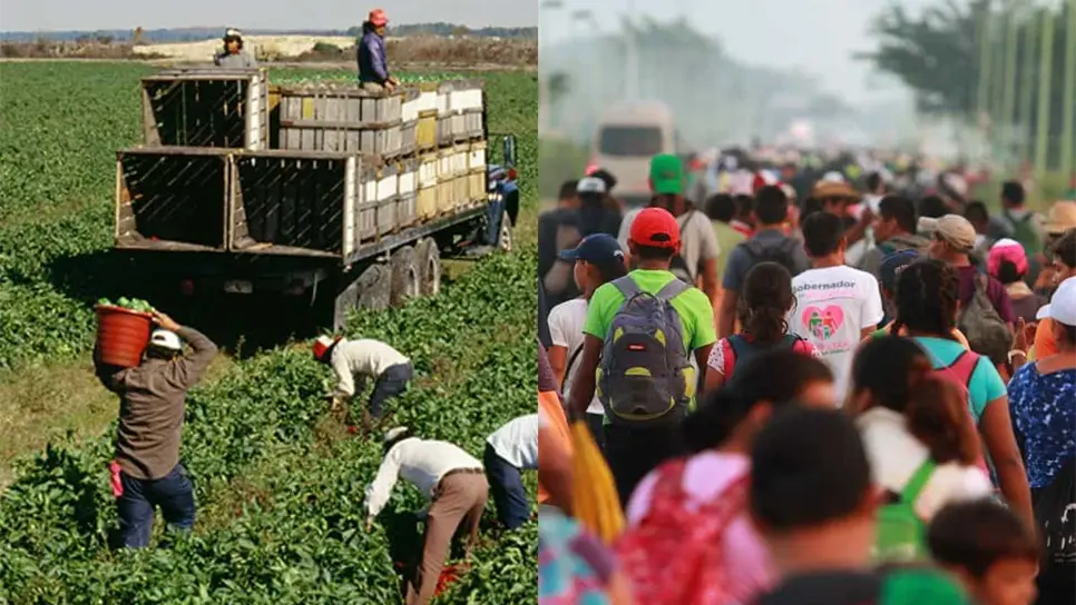 FOTO: ¿Cuáles son las empresas que ofrecen empleos a mexicanos deportados de Estados Unidos?