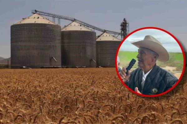 Agricultores del Valle del Carrizo, Ahome, detectan irregularidades en validación de facturas de trigo