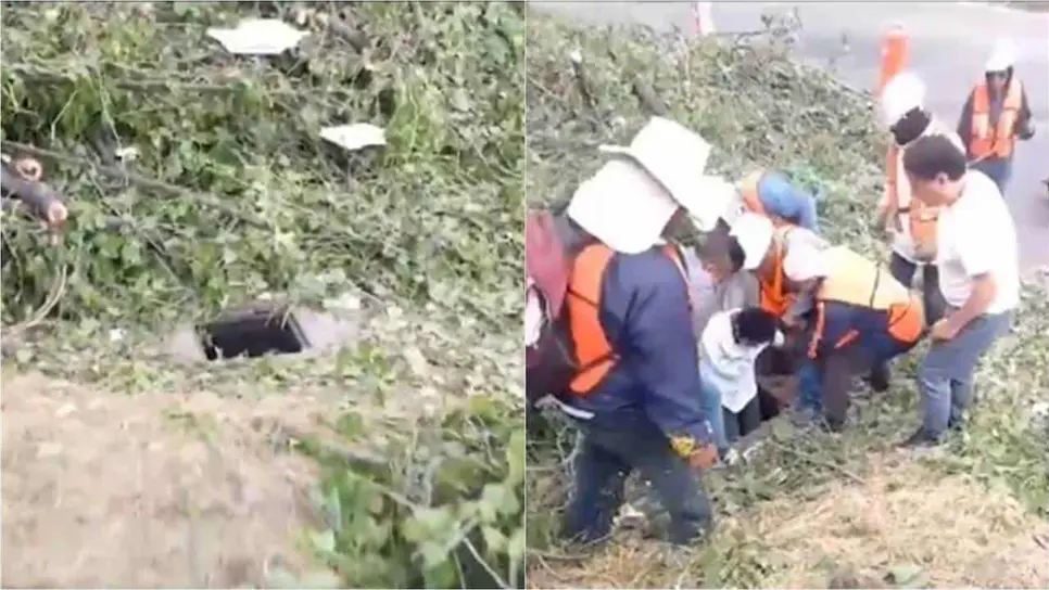 El joven cubría la entrada con una lámina y maleza para protegerse del fío durante las noches y en su interior contaba con una colchoneta improvisada, imágenes religiosas y algunos objetos que recolectaba de la calle