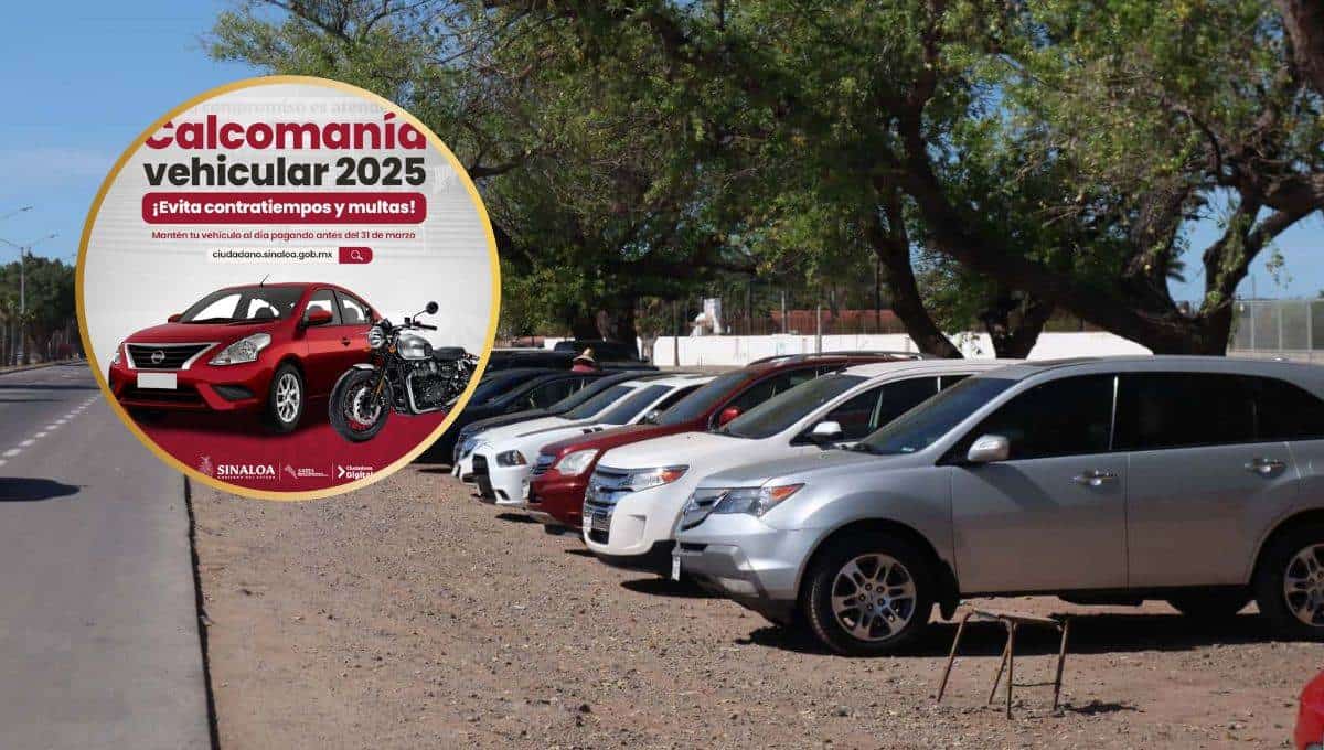 Calcomanía Vehicular 2025 en Sinaloa: ¿Qué modelos pagan y cuando vence el pago?