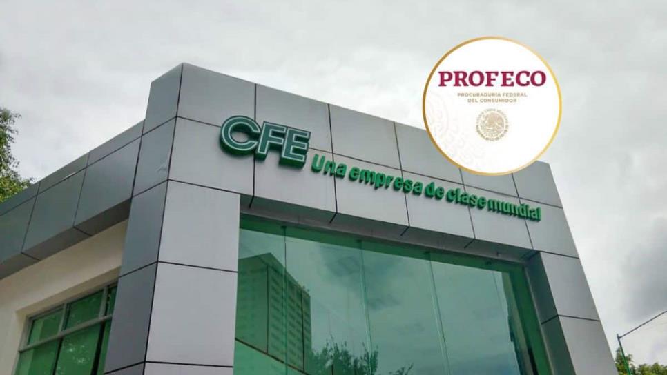 Profeco alerta por el error de cobro que podría haber en recibos de luz de la CFE