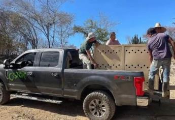 Civiles armados se roban una camioneta del Santuario Ostok