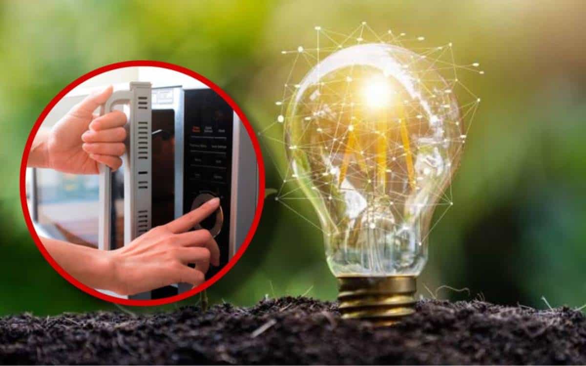 Prohíben cafeteras y microondas en estas oficinas en México para ahorra luz