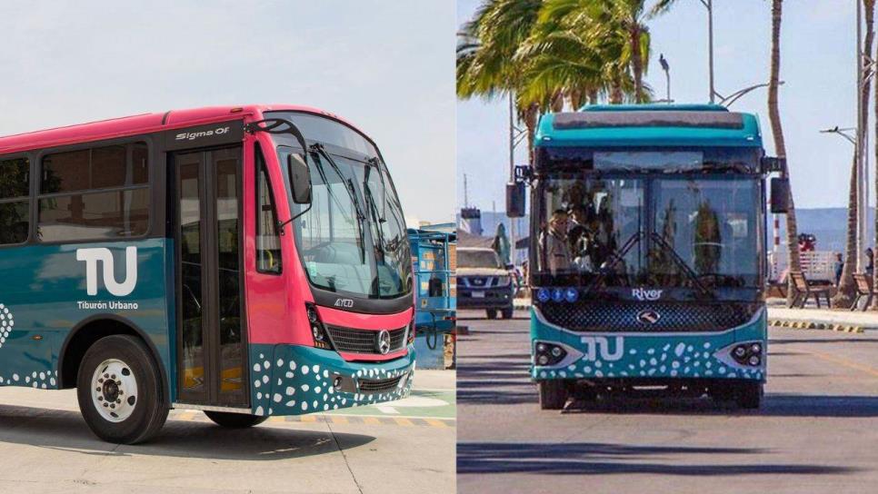 Tiburón Urbano de La Paz, BCS; ¿Qué es y cuánto cuesta viajar en este transporte?