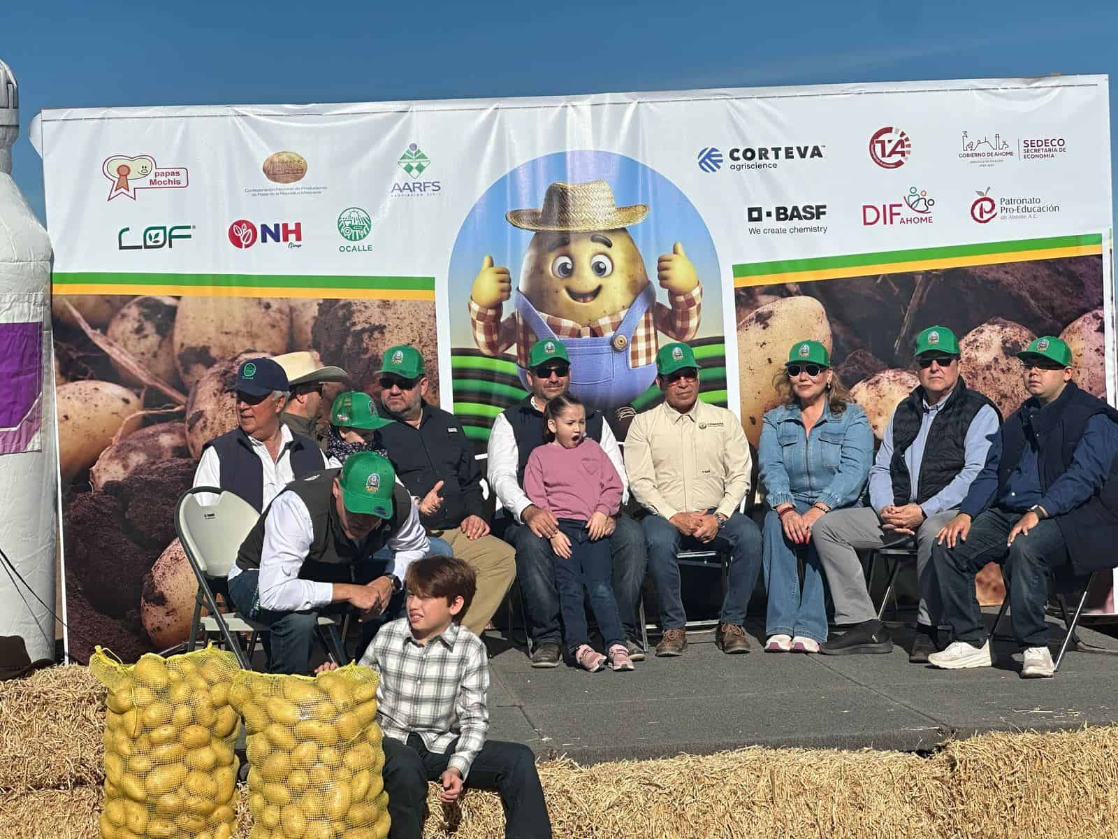 Inicia Festival Pala Papa con cosecha en campo