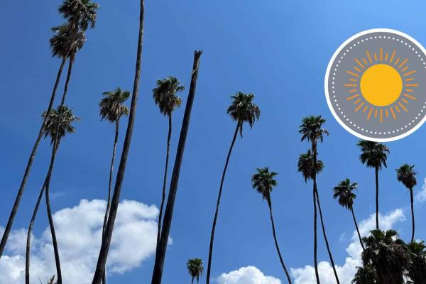 Calor intenso y vientos moderados: Así estará el clima en Los Mochis este martes, 25 de febrero