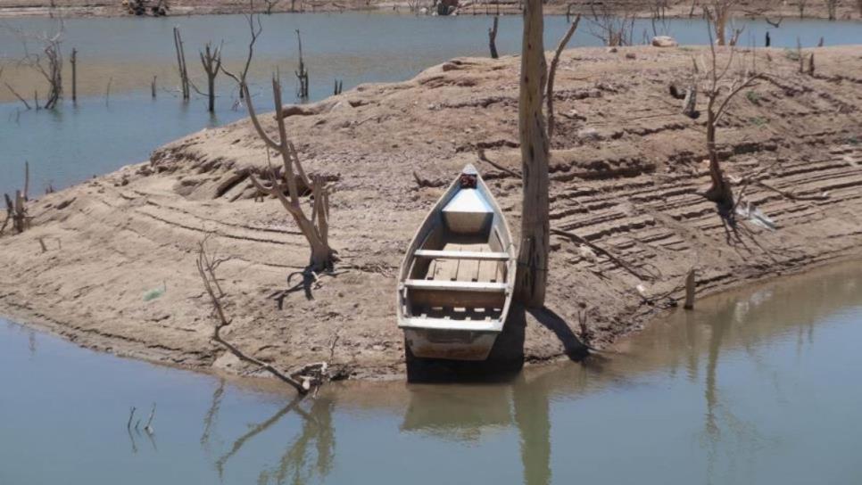 Presas de Sinaloa al 11.7% de su capacidad: déficit crítico de agua informó la Conagua