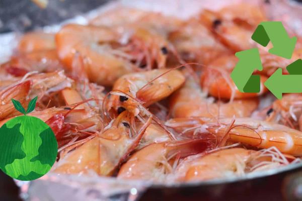 ¿Qué hacer con las cáscaras de camarón? Es un error tirarlas