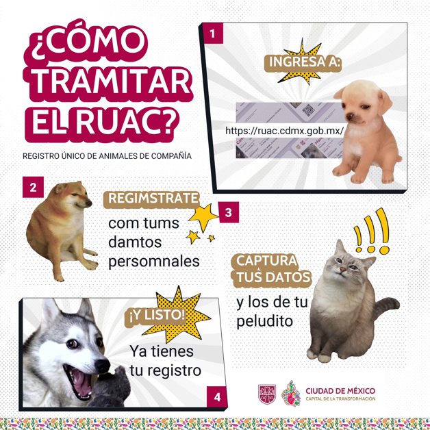 Imagen Placeholder Imagen Placeholder