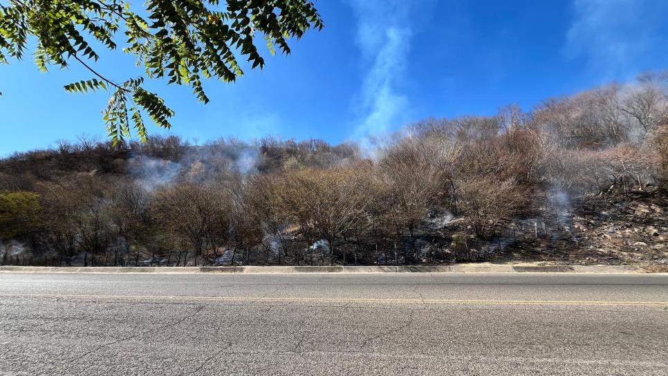 Se registra incendio forestal en Choix