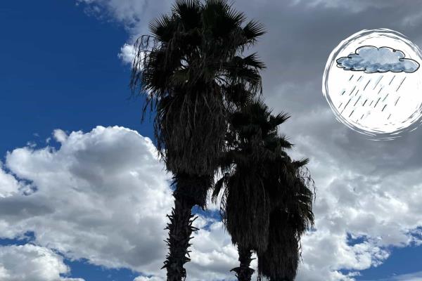Miércoles nublado y con lluvias ligeras en Los Mochis: ¿Cómo protegerse del clima?