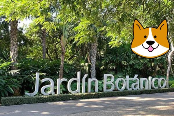 Jardín Botánico de Culiacán ya permitirá la entrada de mascotas: ¿A partir de cuándo?