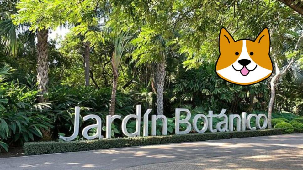 Jardín Botánico de Culiacán ya permitirá la entrada de mascotas: ¿A partir de cuándo?