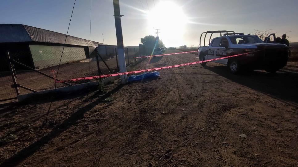 Localizan a un hombre atropellado sin vida en el Valle del Carrizo, Ahome