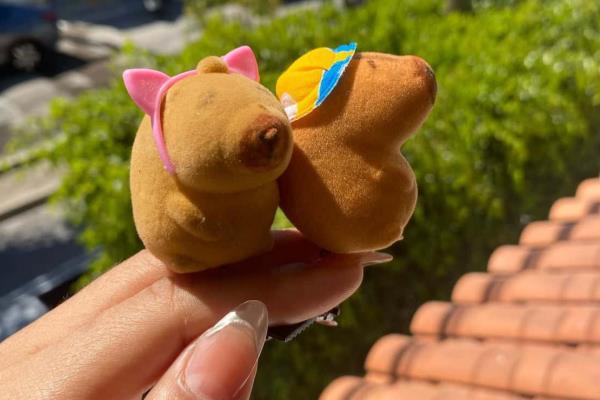Los capibaras llegan al Carnaval de Mazatlán: los monitos se venden como pan caliente