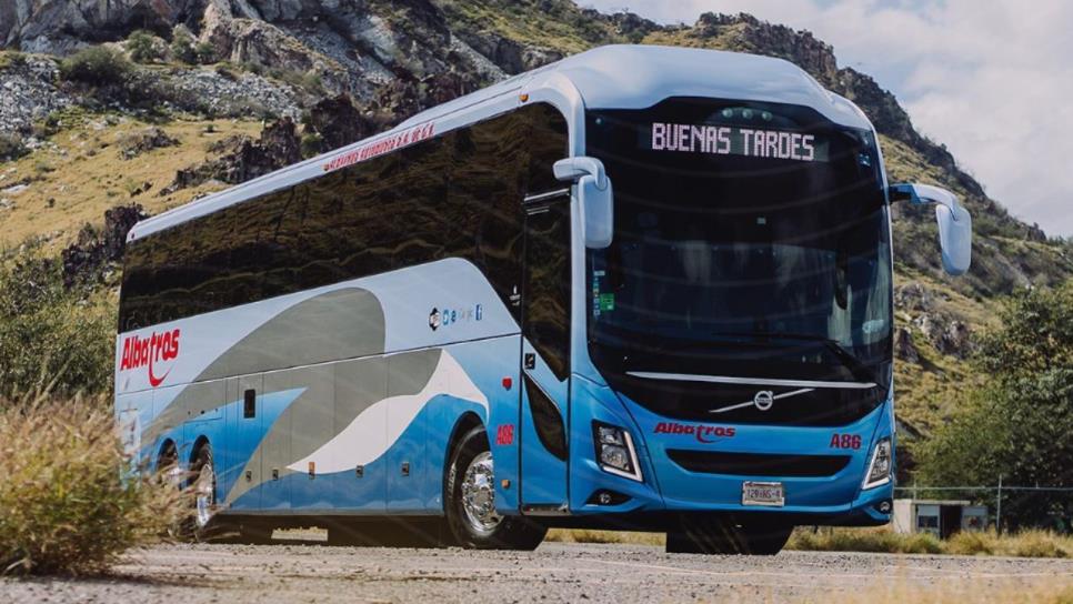 Estos autobuses de Sonora tienen internet de Starlink gratis ¿Cuáles son?