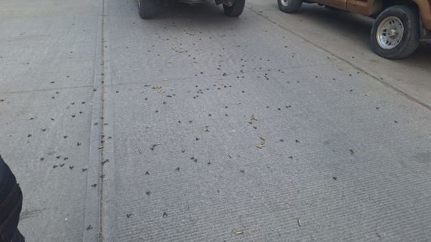 Imagen Placeholder Imagen Placeholder