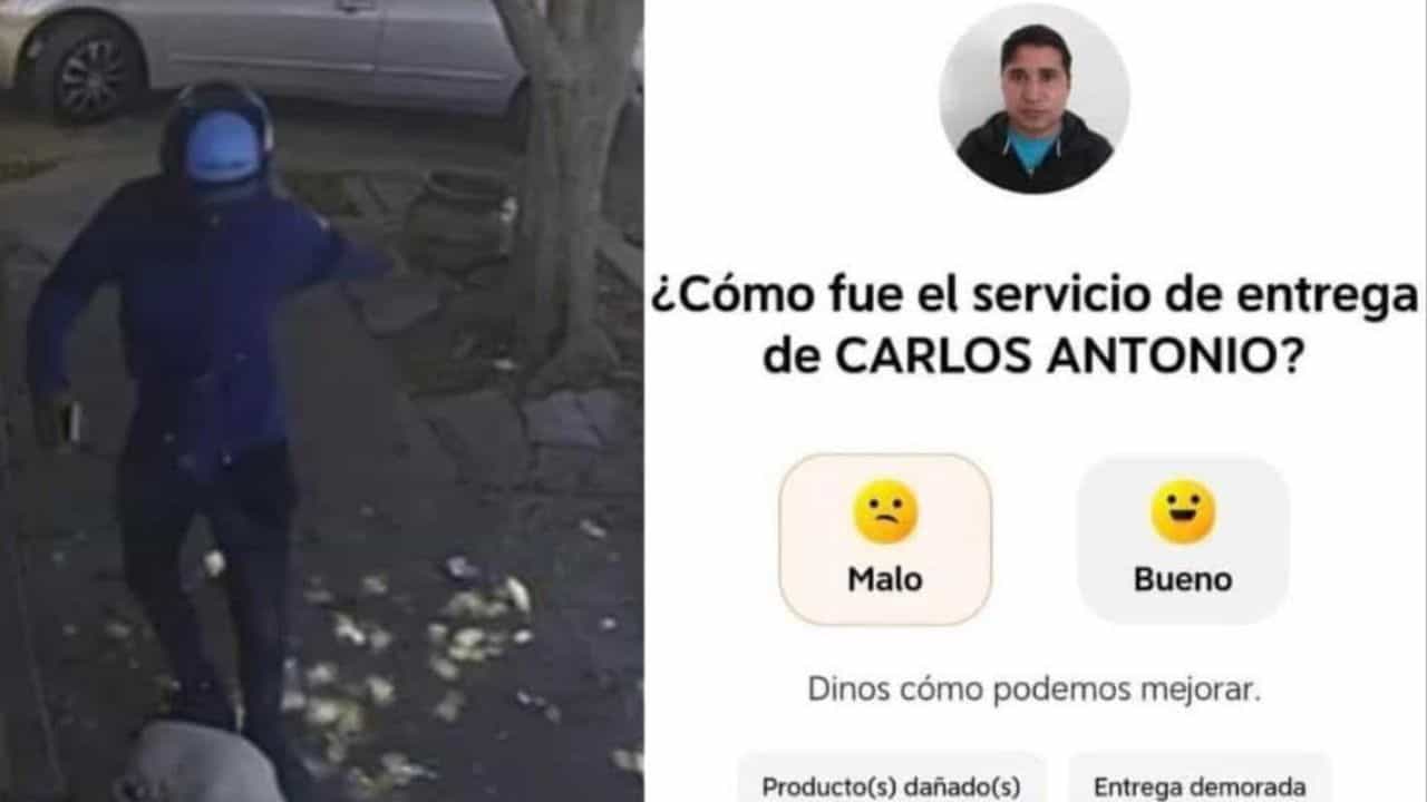 Los animalistas expresaron su inconformidad ante la aberrante acción del repartidor y exigieron a la plataforma tomar cartas en el asunto