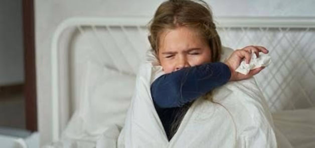 Imagen Placeholder Imagen Placeholder