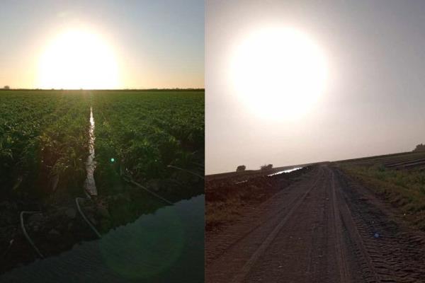 Descubren un sistema de fertilización natural en Sinaloa: el "Polvo del Norte"