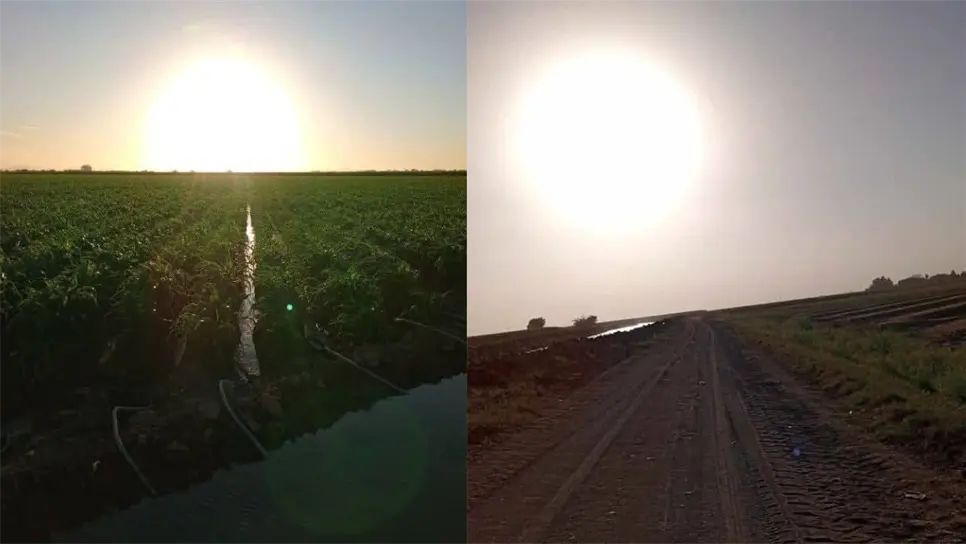 Estos componentes tienen un impacto positivo en la fertilización de los suelos agrícolas de la región, al aportar minerales esenciales para el crecimiento de los cultivos