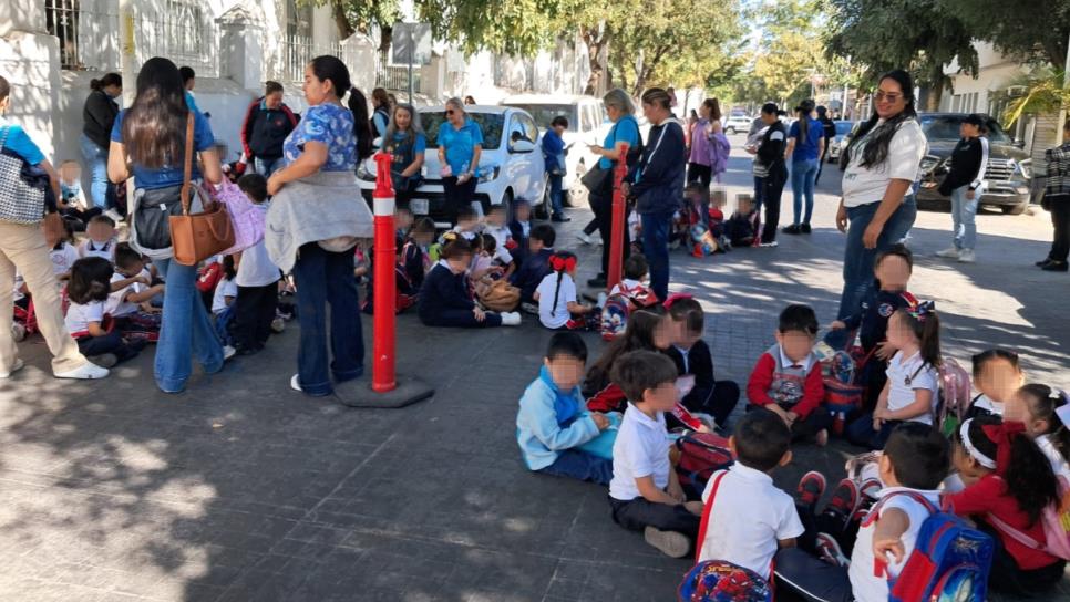 Más de 180 menores de un jardín de niños en Culiacán son evacuados tras ataque de abejas