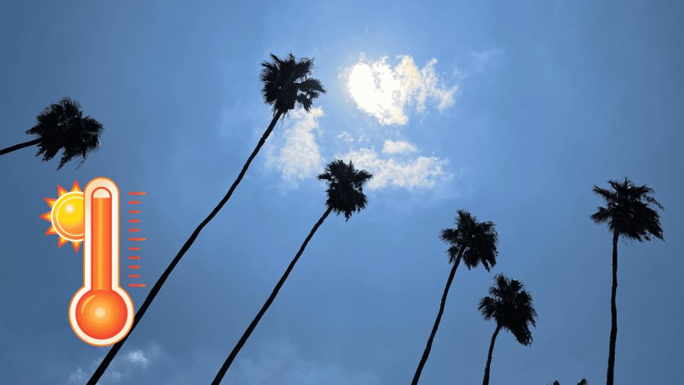 Clima en Los Mochis este martes, 11 de marzo: Cielos despejados y calor