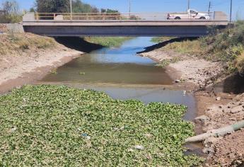 Así luce el canal que abastece de agua a la ciudad de Los Mochis