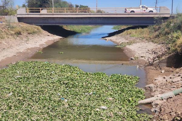 Así luce el canal que abastece de agua a la ciudad de Los Mochis