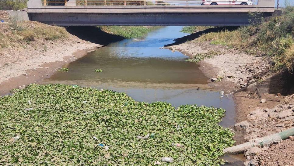 Así luce el canal que abastece de agua a la ciudad de Los Mochis