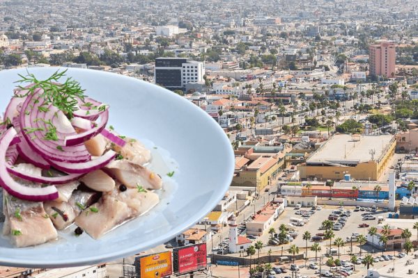 Ceviche estilo Ensenada: ¿como prepararlo y qué tan rico es?