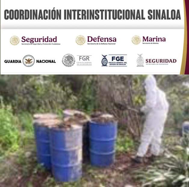 Imagen Placeholder