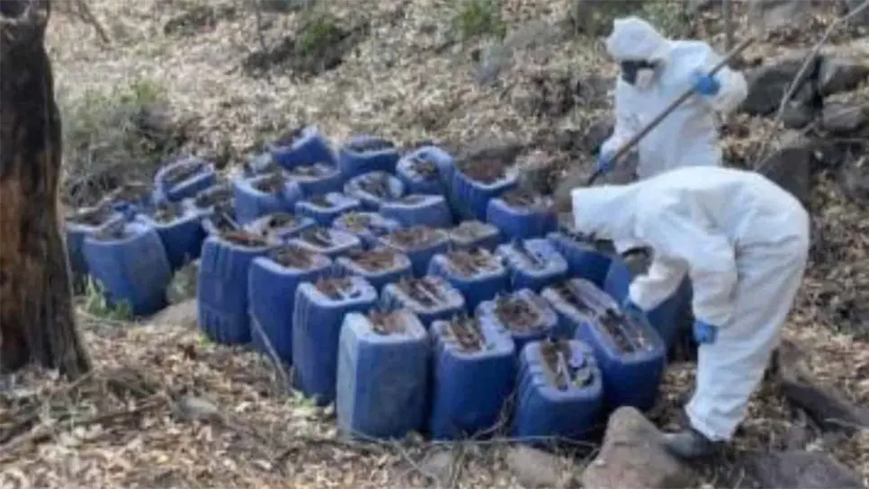 Parte de lo asegurado en los laboratorios. (FOTO: Cortesía).