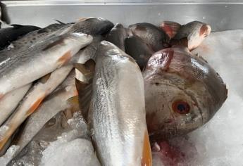 ¿Cuáles son las especies de pescados que se producen en Sinaloa? 