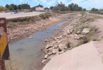 Sequía histórica golpea la agricultura en Sinaloa: presas al 9.2 % de su capacidad