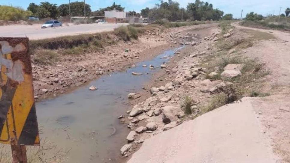 Ante bajos niveles de agua, Japama también debe poner de su parte: Red Mayor