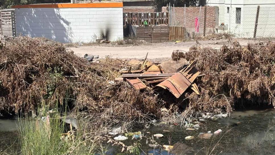 Los Mochis sin agua y el canal que abastece a la ciudad está lleno de basura