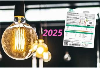 CFE aplicará descuentos al recibo de luz en 2025; ¿Sinaloa en la lista?