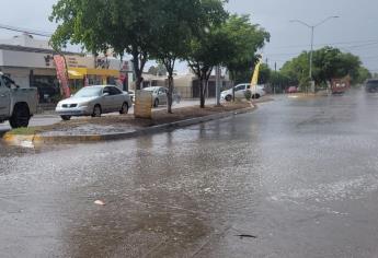 ¿Cuándo lloverá en Los Mochis este 2025? Esto dicen los especialistas del clima